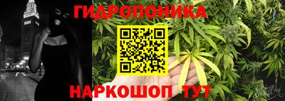 твердый Моздок